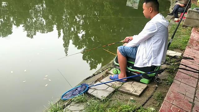响水水库钓鲤鱼,响水钓鲤鱼位置