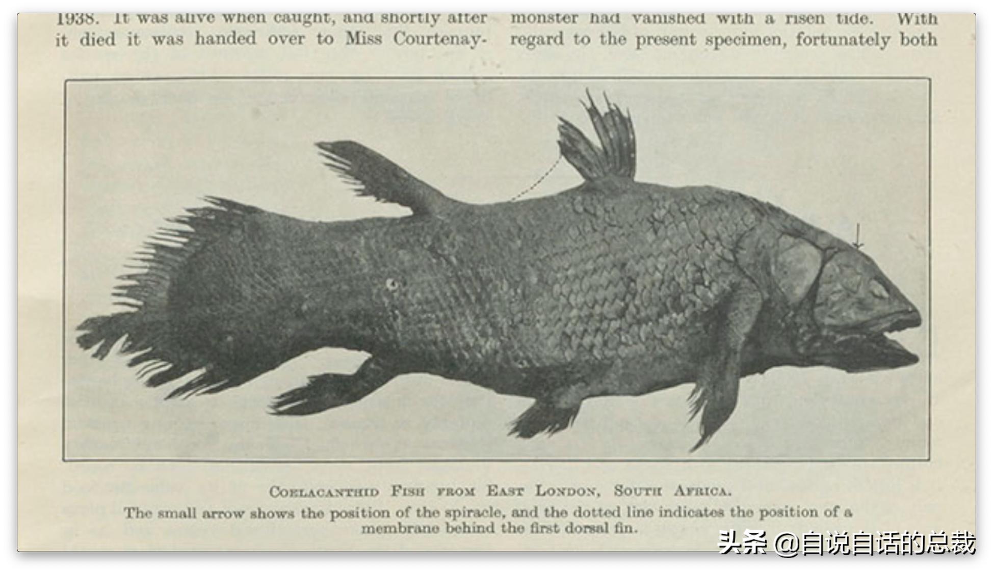 美国探测深海潜艇失踪事件,美国海神号发现了什么