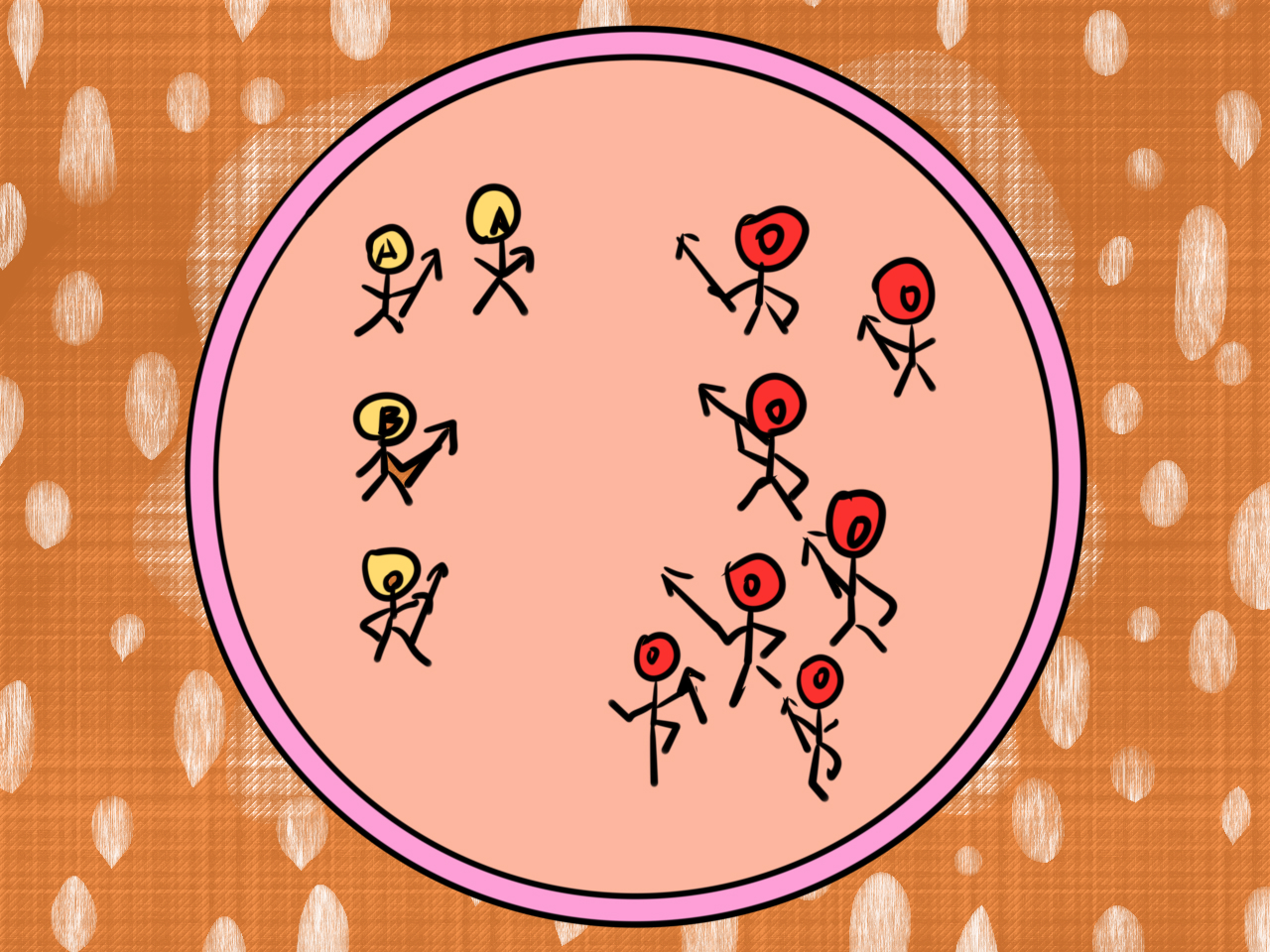 稀有血型怀二胎需要注意什么,哪种血型的孕妇怀孕几率高