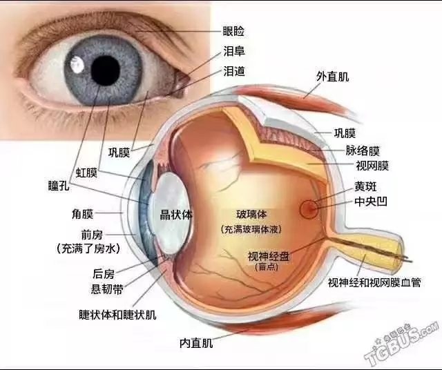 散光是近视的前奏?这样做就可及时避免了!