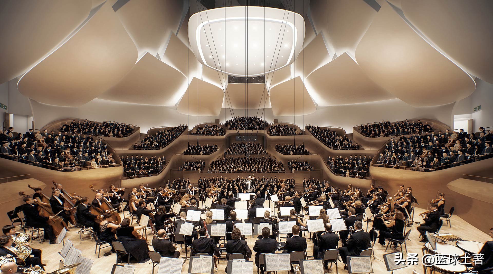 音乐厅座位性价比推荐,上海音乐厅最佳座位