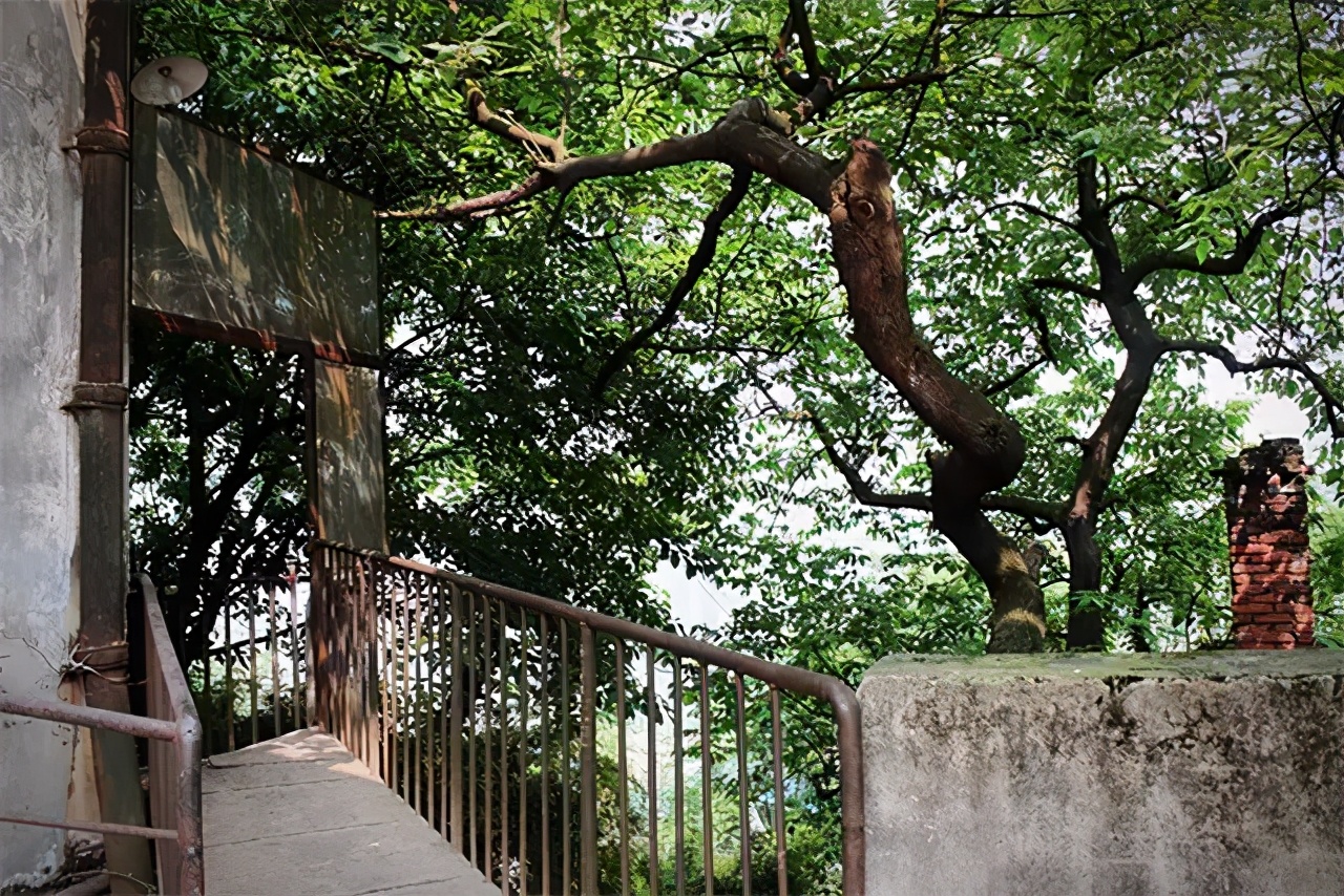 杭州隐居鹅岭投资管理,鹅岭隐居