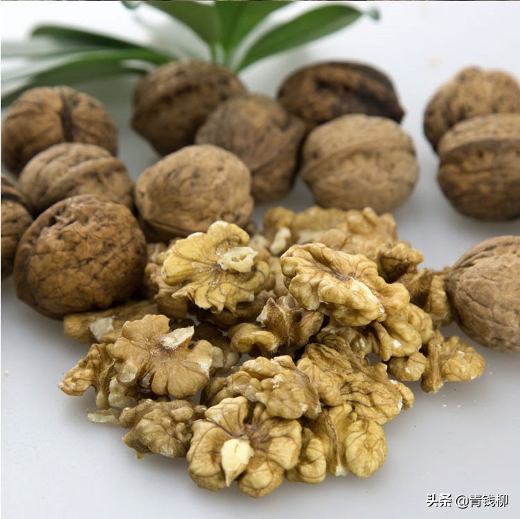 陇县核桃种植现状,甘肃成县核桃种植基地