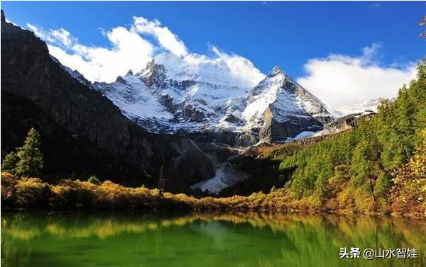 宝宝补dha推荐,香格里拉舒达核桃油怎么样