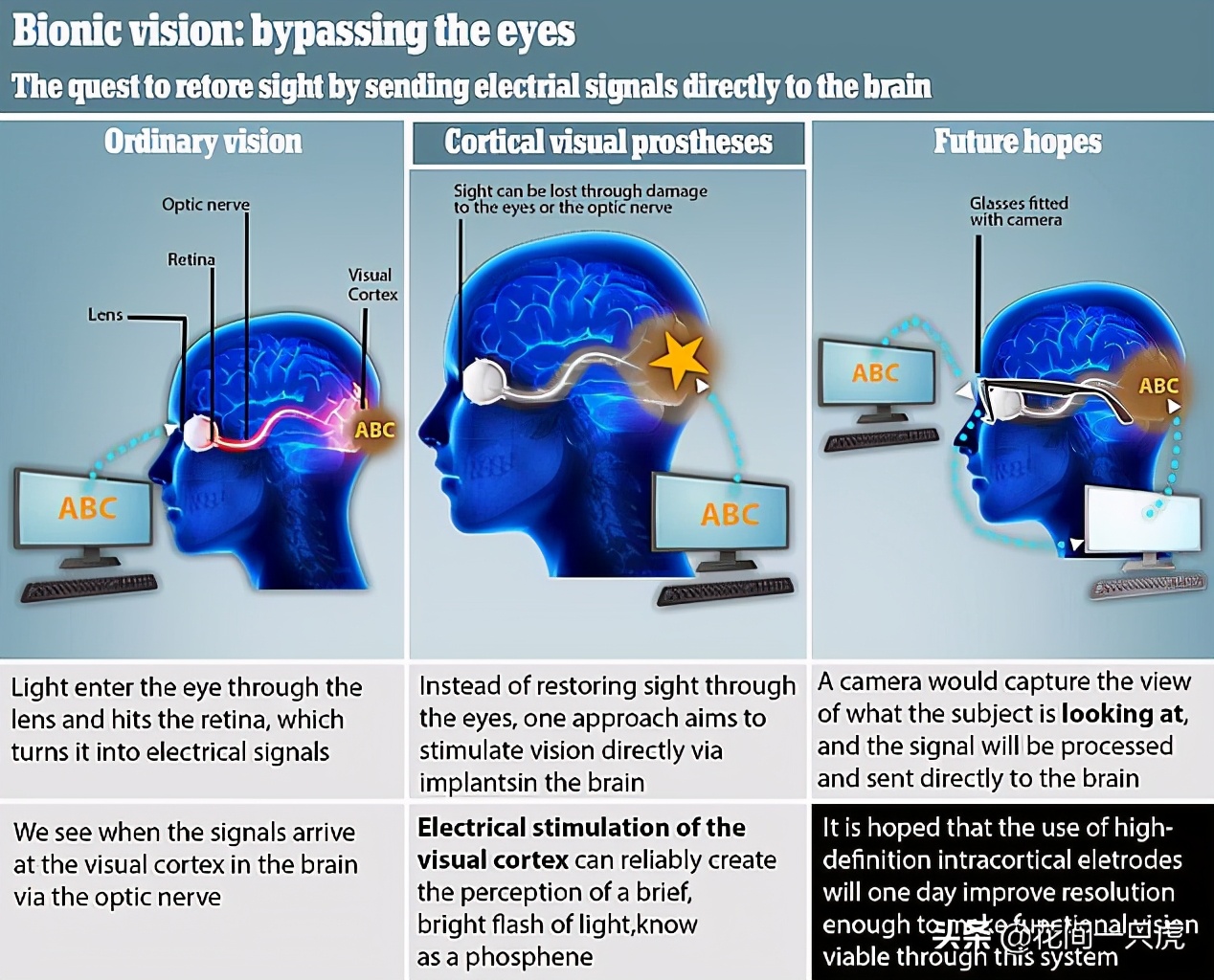 赛博朋克2077幕后游戏大揭秘,赛博朋克2077背后游戏大揭秘
