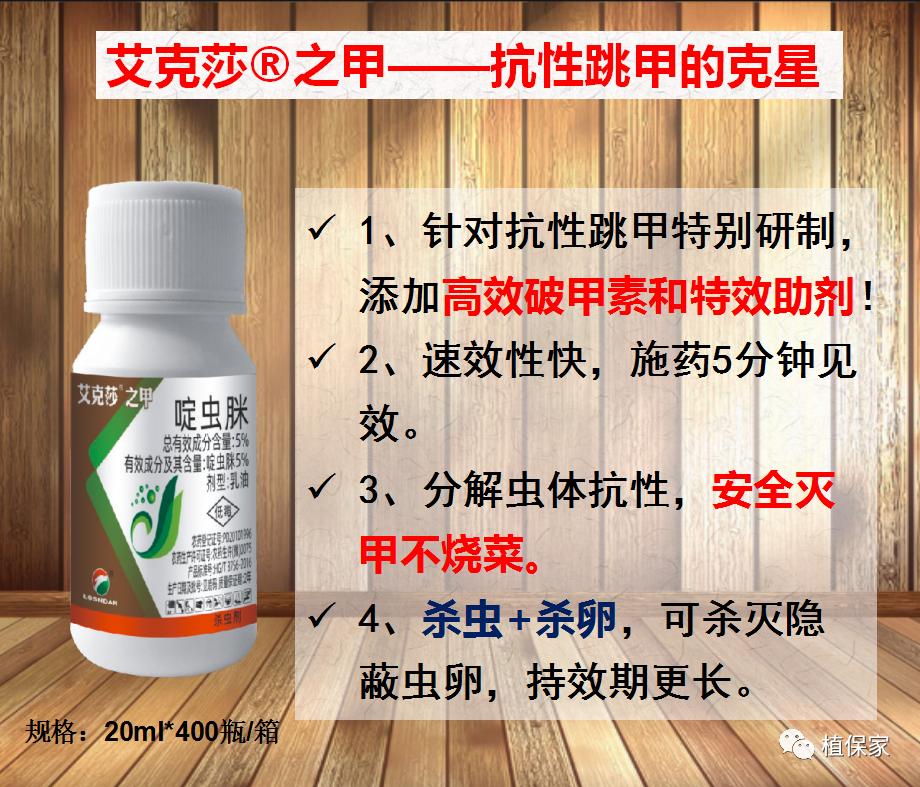 跳甲防治技巧,跳甲最好的克星