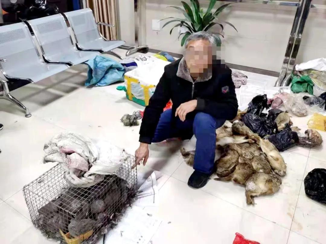 护航新征程反腐,江西省玉山县扫黑除恶案件