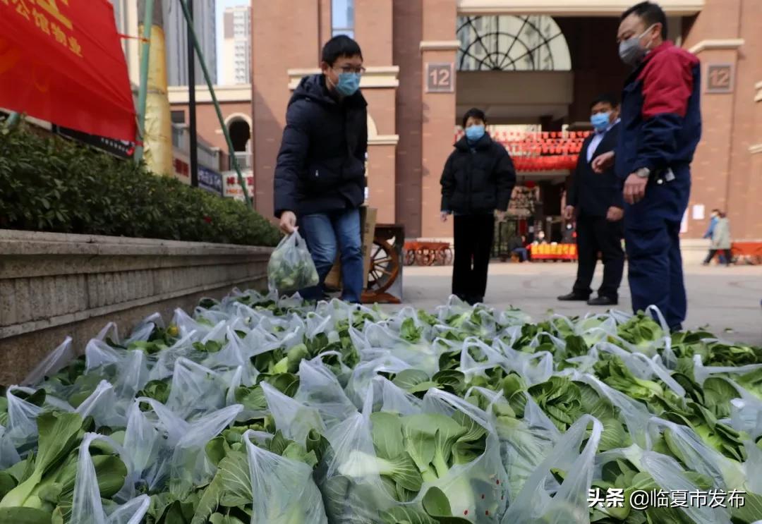 战疫二十四小时纪录片感悟,战疫最让人震撼和感动的瞬间