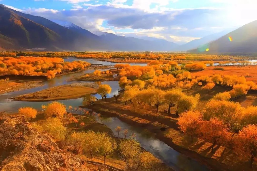 1011月错过它们，等于错过整个秋天！人少清净，随手一拍都是大片