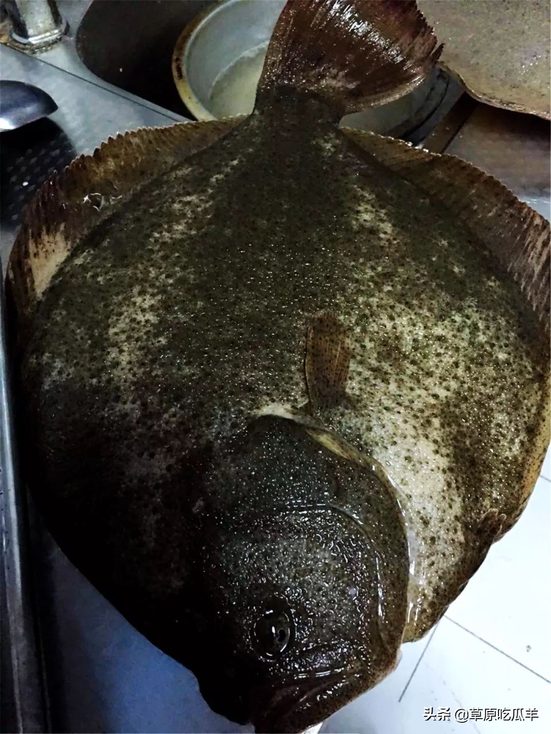 宁波地道的特色海鲜叫什么,宁波小海鲜都有哪些