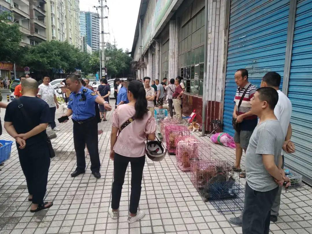 宠物市场搬哪里去了,宜宾宠物市场地址在哪里