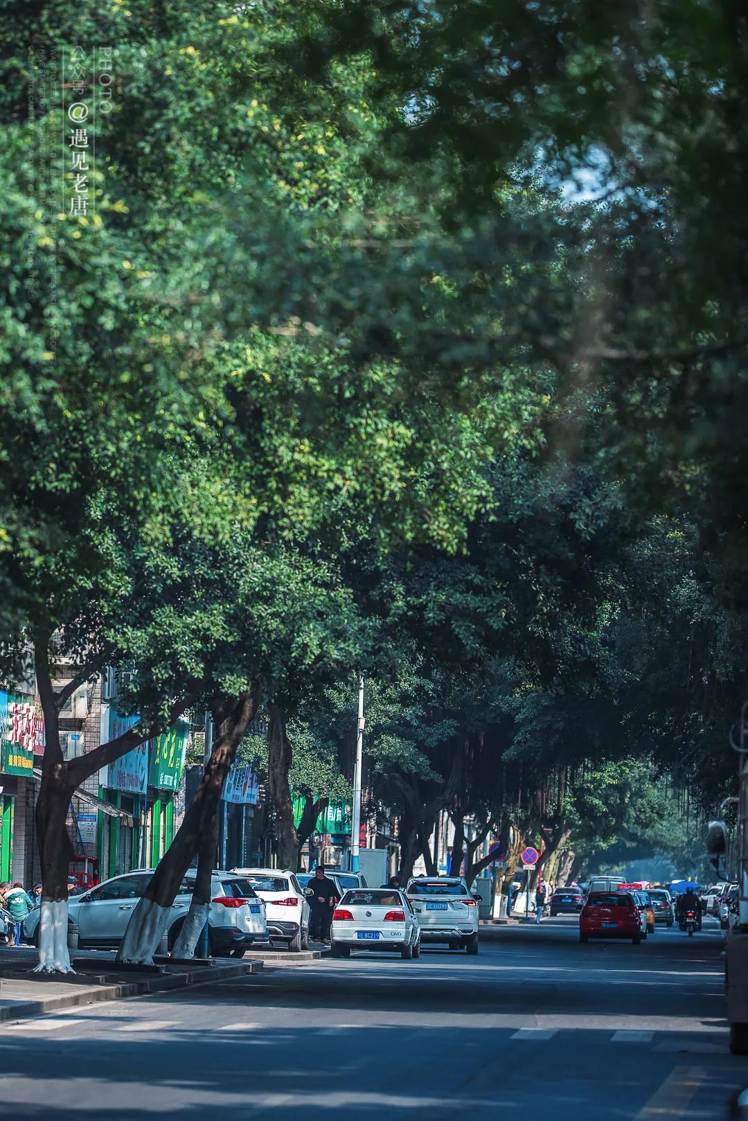 老泸州的回忆,泸州小市老城区