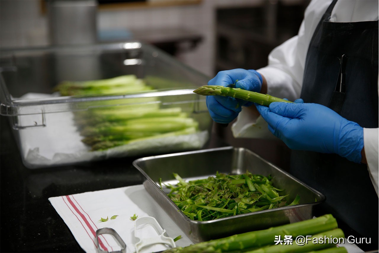 宝格丽沉浸式护理,宝格丽健康管理