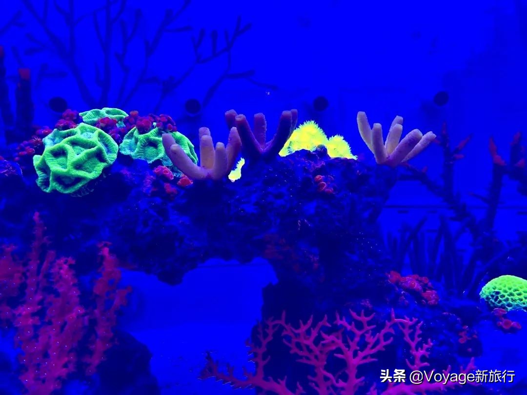 重庆融创文旅城和万达,融创文旅城飞越重庆