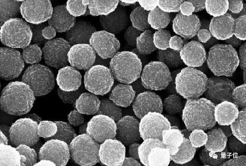 博士学历是否真的重要,上交大博士学位