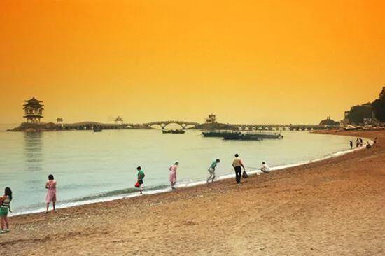 不去海边,不去海边哪里有贝壳