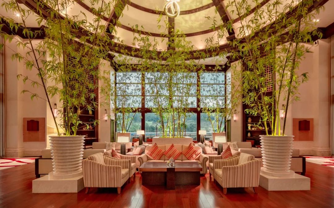 深藏在森林之中的温泉酒店,隐藏在森林里的豪华酒店