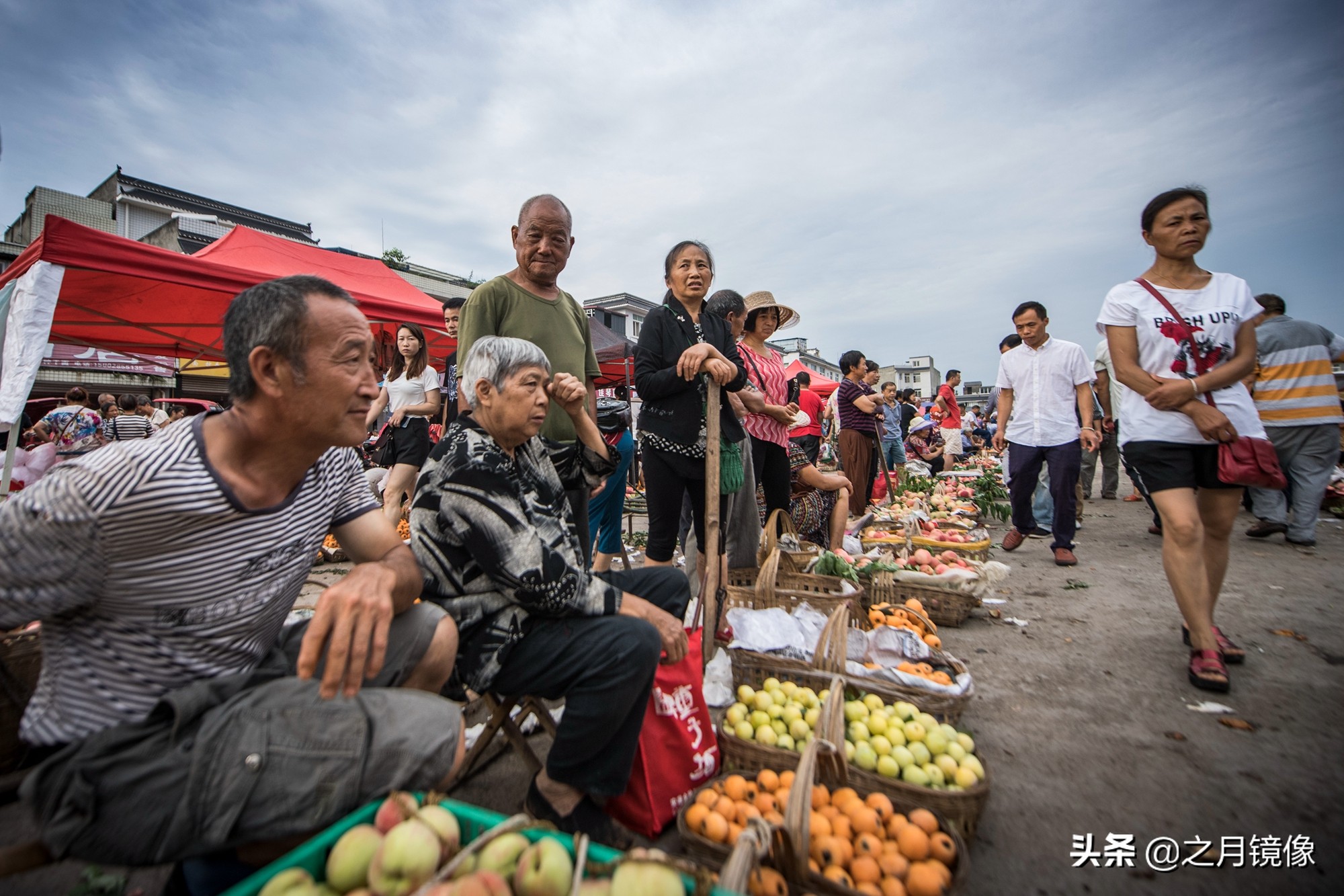 天府新区太平枇杷,成都太平枇杷批发市场