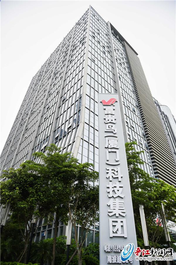 晋江洪顶富贵鸟,晋江富贵鸟新消息