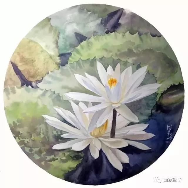 100种漂亮花卉图片,100张漂亮花图