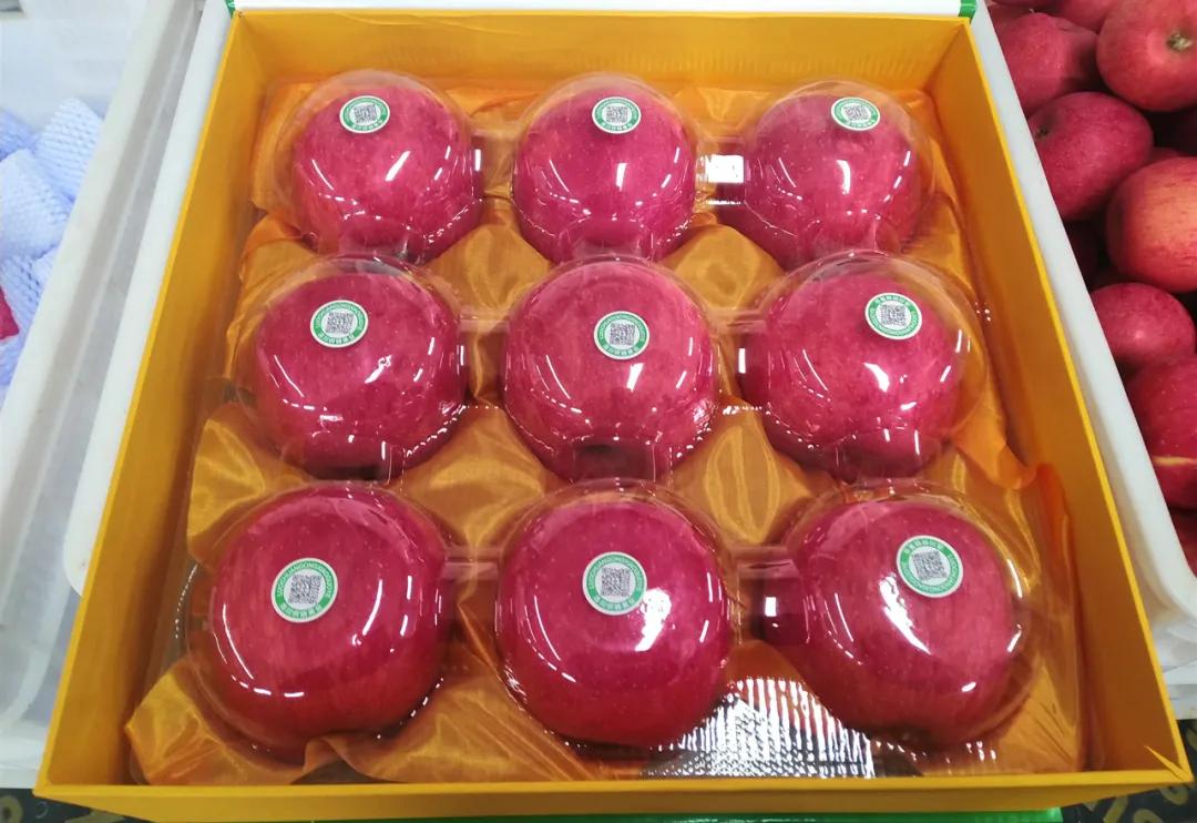 健康防疫安全出行,健康过双节疫情防控提醒请查收