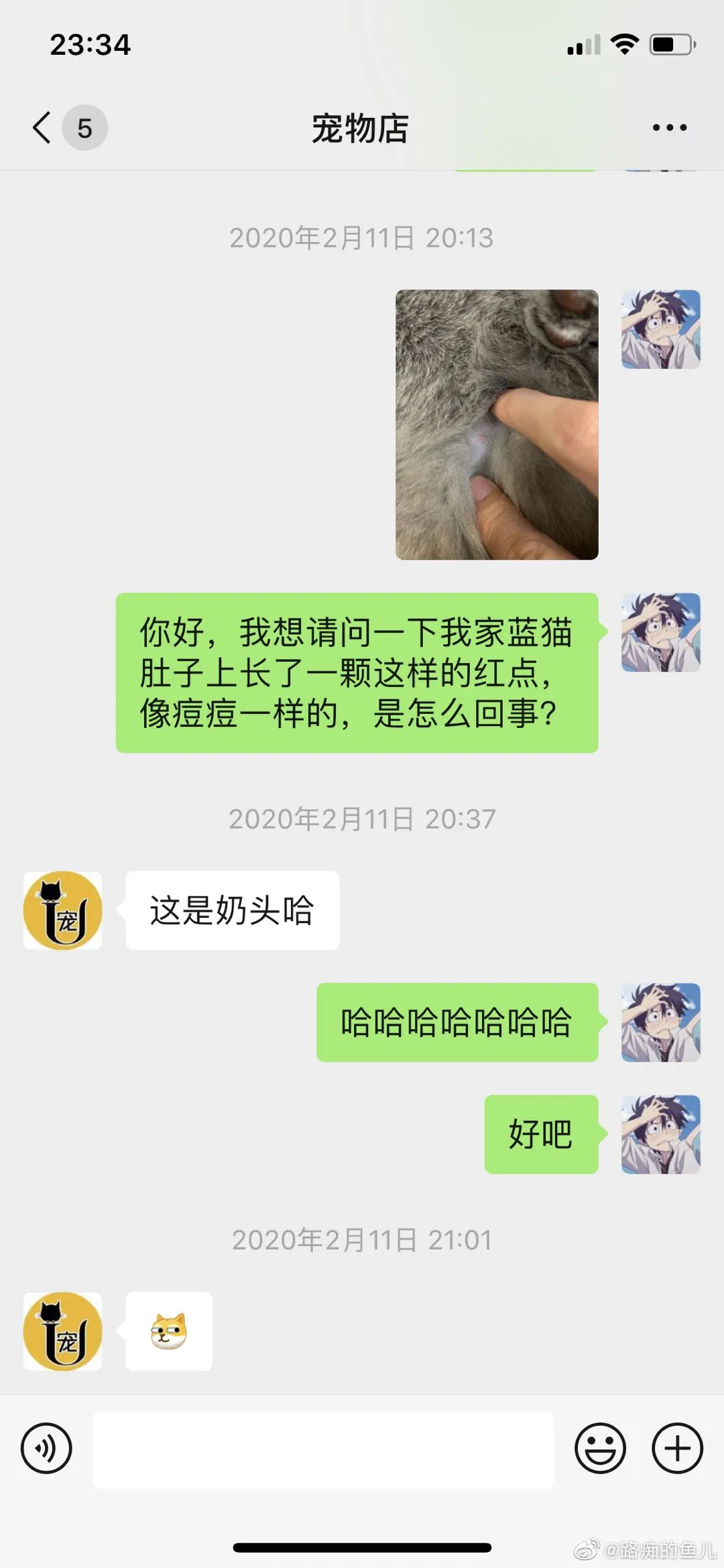 现在客服都这么厉害吗,现在的客服怎么都这样啊