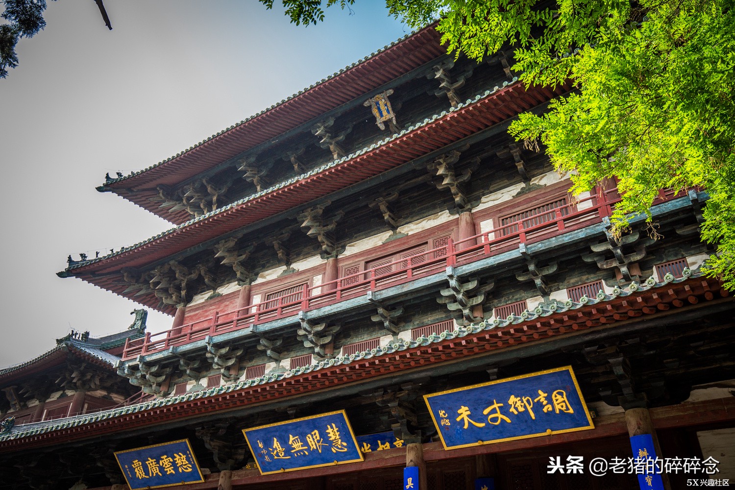 正定古城隆兴寺简介,千年隆兴寺视频