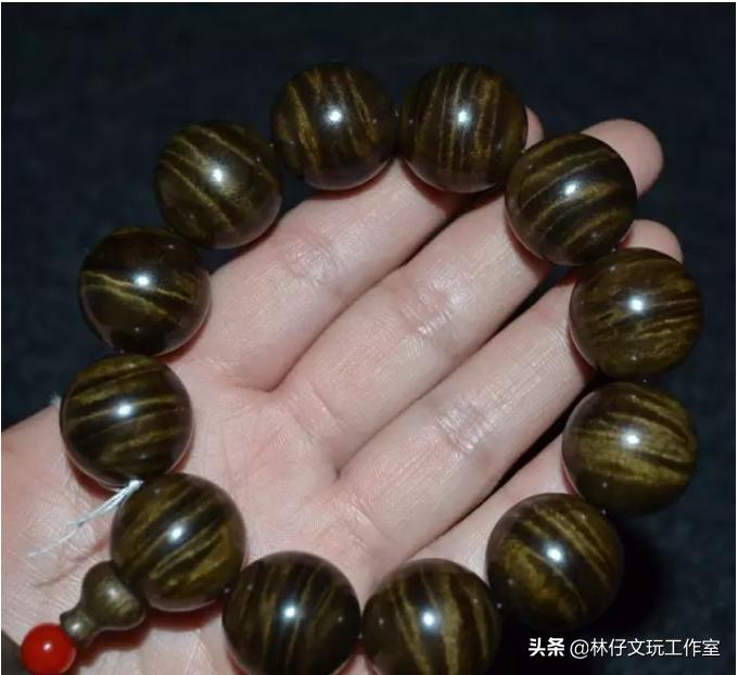 东方神木馆里的金丝楠木有多长,神木金丝楠木