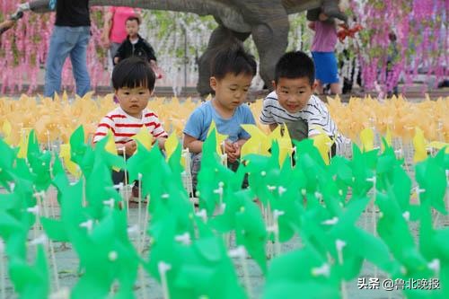 首届中华紫藤花文化旅游节,首届紫藤花旅游节