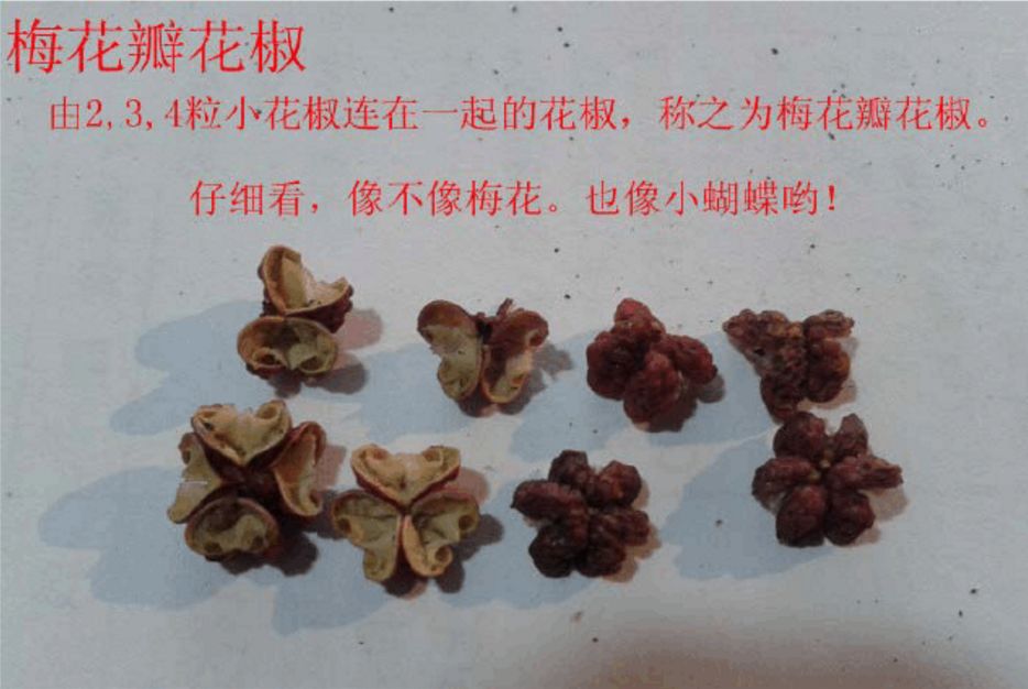 全国最正宗的花椒在哪里,花椒有几个品种哪个最好吃