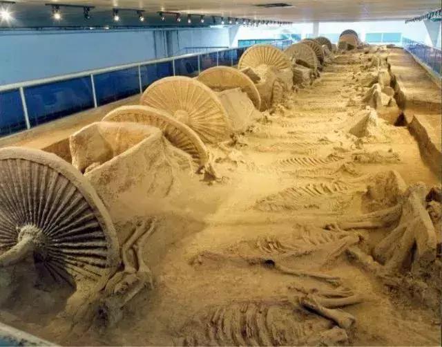 济青高铁淄博段进展,济青高铁2021