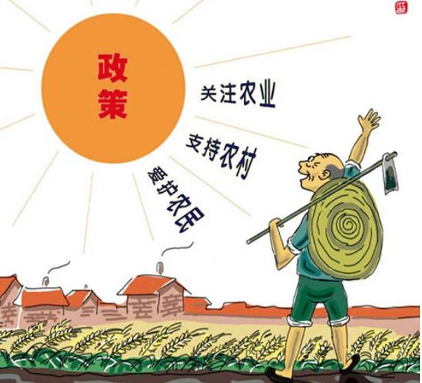 农产品期货市场专题报告,我国农民如何利用农产品期货