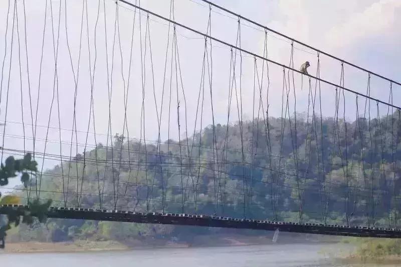 带上这份指南,一起过电影人生