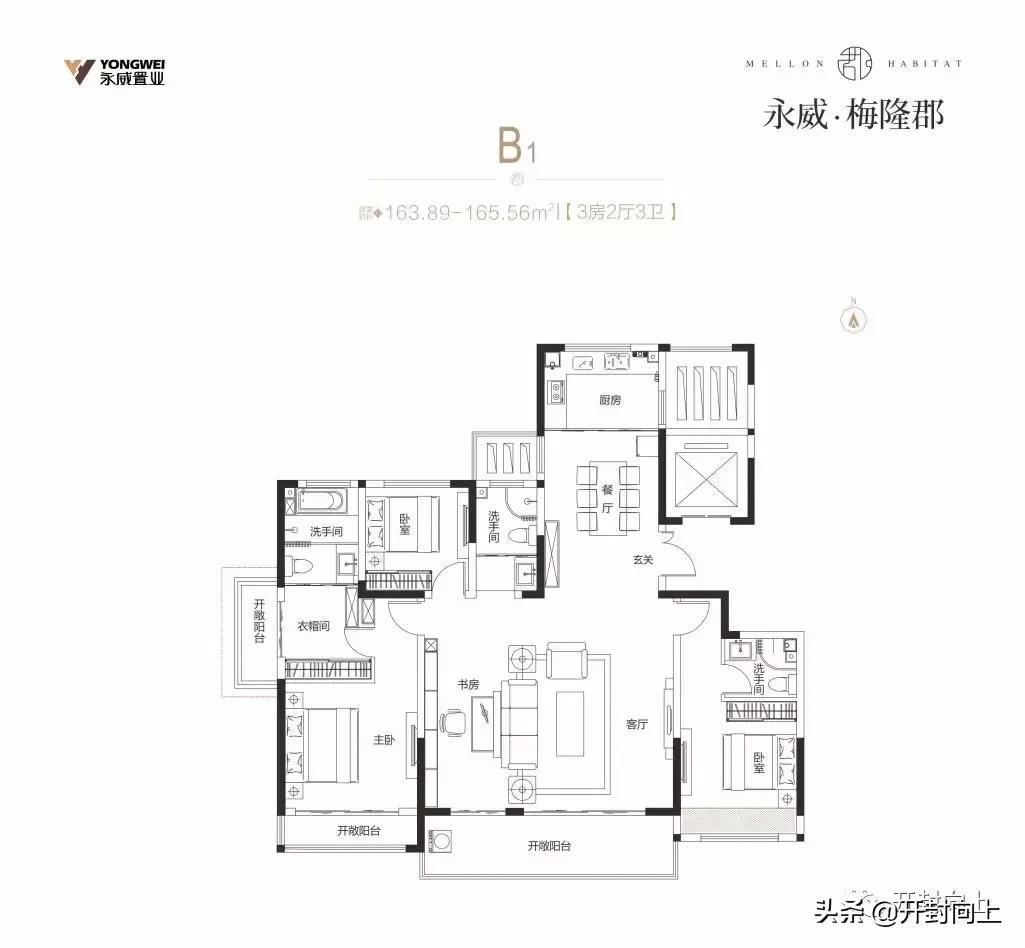 每一次惊艳亮相都是勇立潮头,每一次亮相都无限惊喜