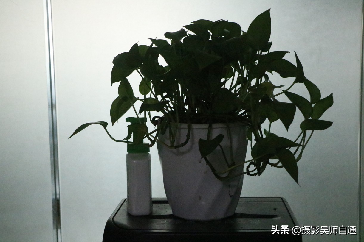 相机有哪些实用功能,相机的三大基本功能