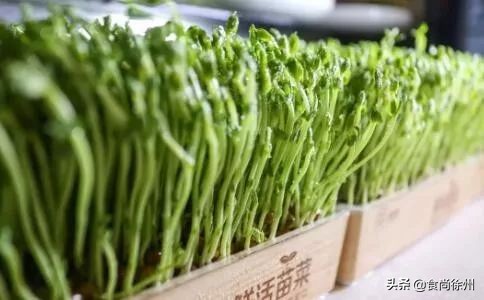 深夜重磅：一年疯一次！徐州南区都在传这事！100多家餐厅5折起