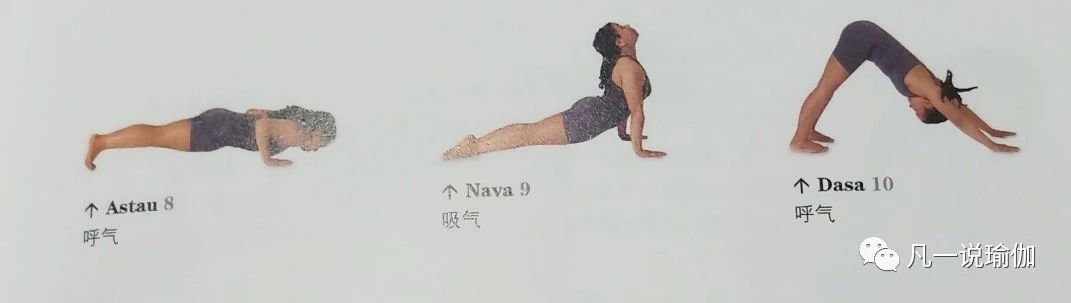 瑜伽拜日口令动作讲解,瑜伽拜日口令版零基础入门必学