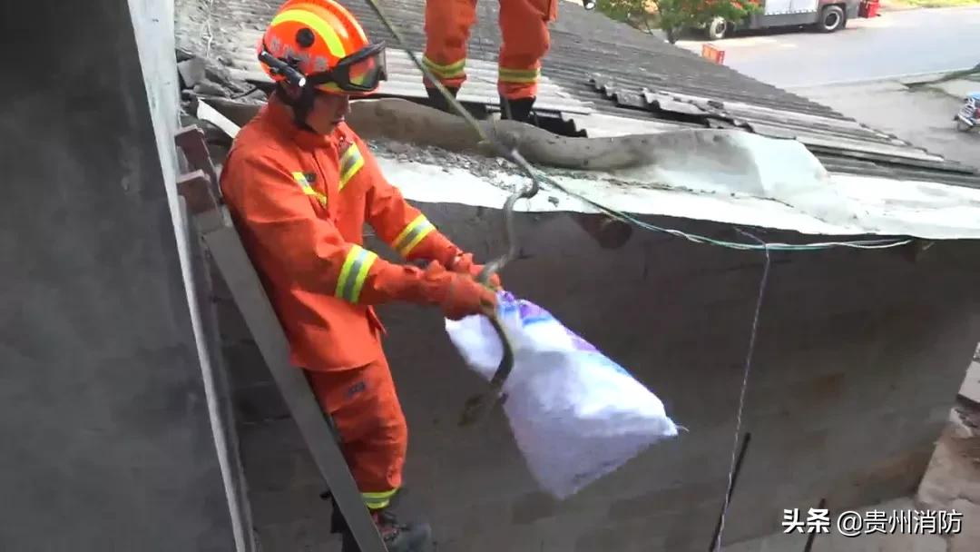 贵州头上有角的蛇,贵州头部是三角形的蛇