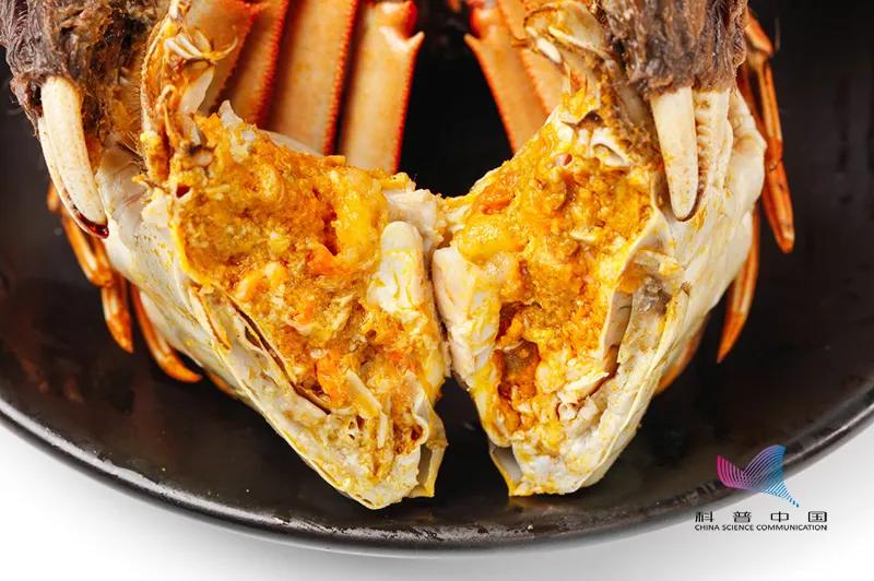 刚买的死螃蟹可以吃吗,误食了死螃蟹多久发作