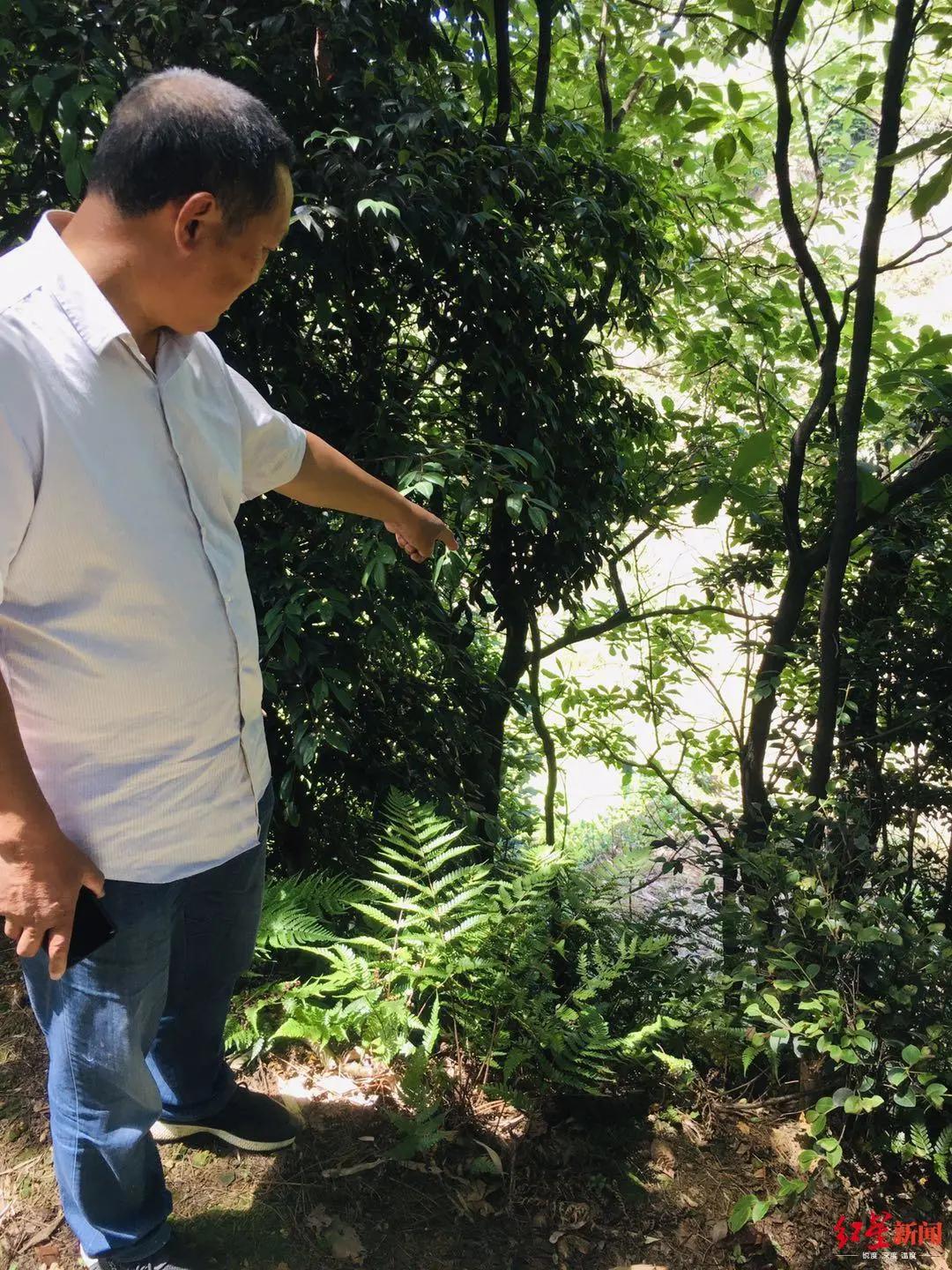 四川宜宾性侵学生案,14岁少年性侵杀害表姐案