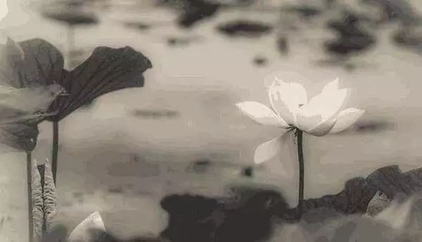 如何理解“圣人常无心，以百姓心为心”？“无心”是什么含义？