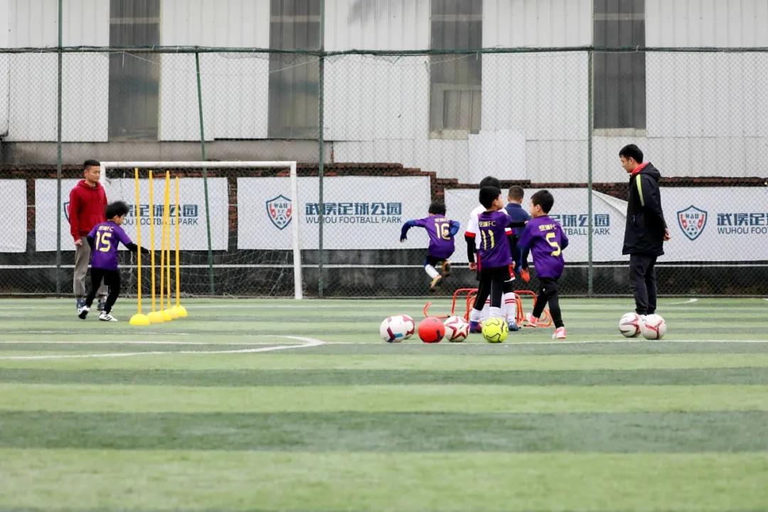 津门网金熙男：足球小将