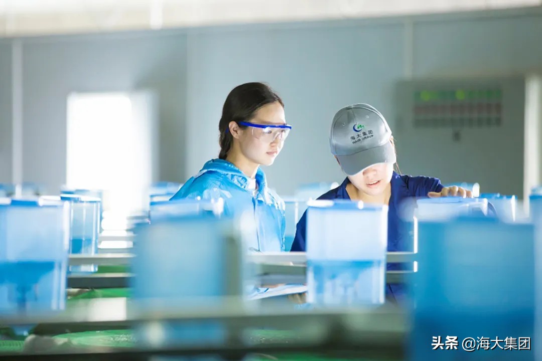 观赏鱼产业助力脱贫攻坚,养好一条鱼的重要性