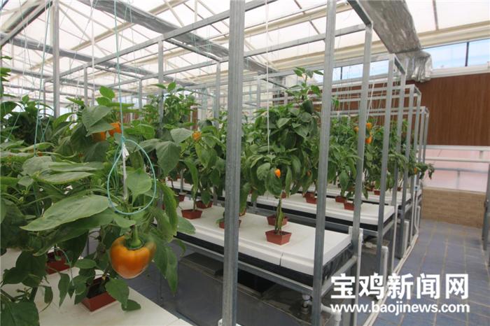 宝鸡新闻网带你去体验拥有世界最大标准间的酒店