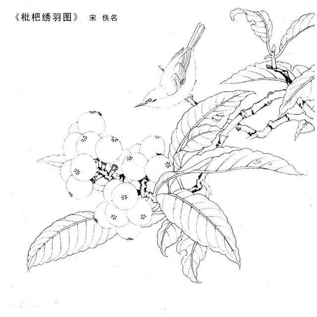 工笔白描底稿高清大图,宋人工笔画白描图片