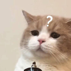 身上长痘、哮喘鼻炎可能都是螨虫惹的祸!除螨用这招,螨虫死光光