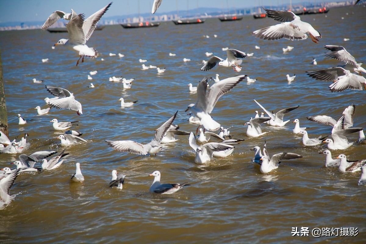 中国最适合养老的“特大城市”,气候宜人环境美,一年四季都宜居