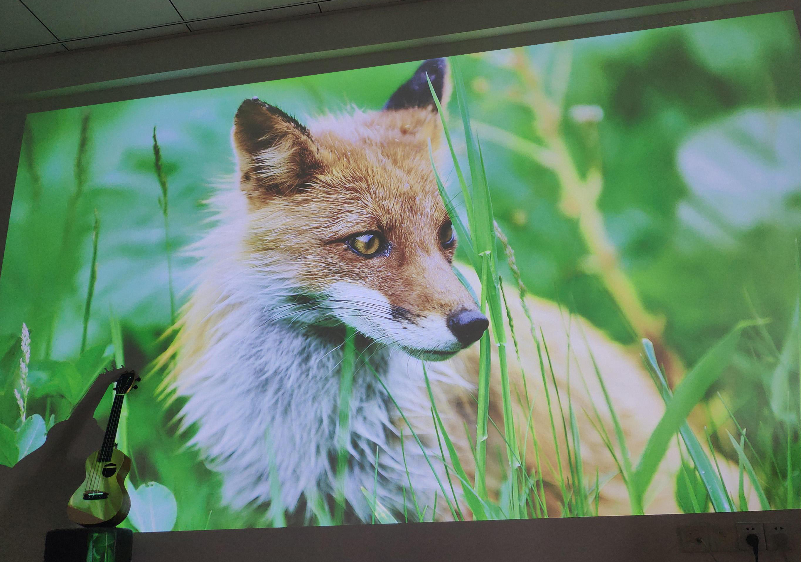 100寸液晶电视与激光电视对比,85寸的选液晶电视还是激光电视