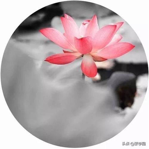 9首诗词9种人生境界你是哪一种,悟透人生的最高境界的诗词