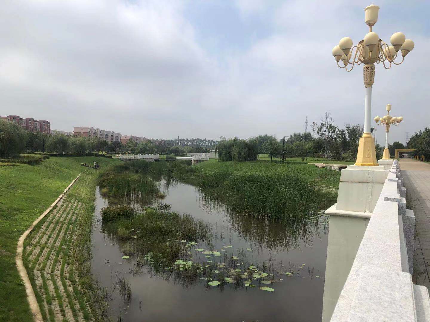 中山公园改造后效果图,中山公园升级改造后美翻了